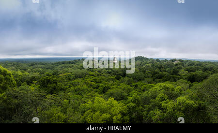 Panoramablick über Regenwald und Spitze der Maya-Tempel im Tikal National Park - Guatemala Stockfoto