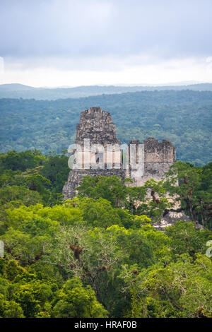 Oben auf der Maya-Tempel im Tikal National Park-Guatemala Stockfoto