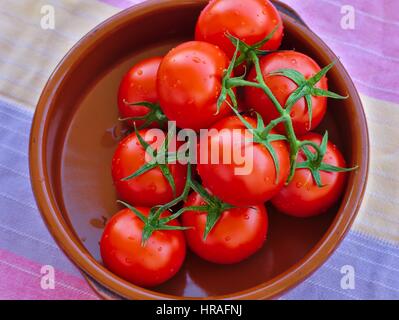 Frische Tomaten in einem Tontopf. Stockfoto