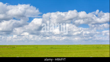 Schöne Landschaft mit grünen Wiese und strahlend blauer Himmel mit Wolken bei Sonnenuntergang im Frühling. Bunte Natur Hintergrund. Landwirtschaft. Grüne Wiese Stockfoto