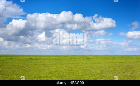 Schöne Landschaft mit grünen Wiese und strahlend blauer Himmel mit Wolken bei Sonnenuntergang im Frühling. Bunte Natur Hintergrund. Landwirtschaft. Grüne Wiese Stockfoto