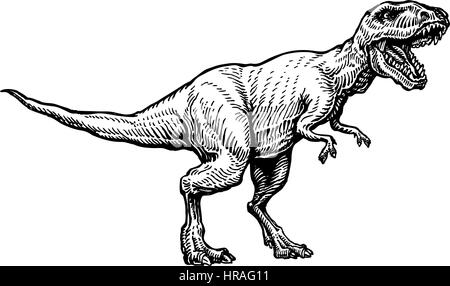 Skizzieren Sie wütend Tyrannosaurus Rex mit offenen riesigen Maul. Handgezeichnete fleischfressender Dinosaurier. Tierischen Vektor-illustration Stock Vektor