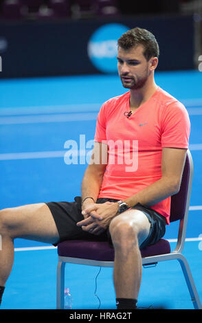 Sofia, Bulgarien - 27. November 2015: Sofia, Bulgarien, Training auf Grigor Dimitrov für demonstrative Match in der Arena Armeec Hall, Sofia, Bulgarien Stockfoto