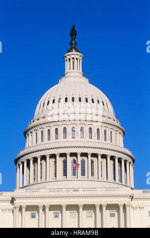 Kuppel des United States Capitol Building, Washington, D.C., U.S.A. Stockfoto