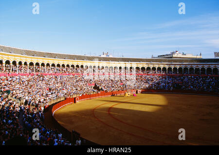 Stier kämpfen in der Plaza de Toros De La Real Maestranza de Caballería de Sevilla, Sevilla, Spanien Stockfoto