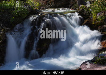 Wasserfall auf Baring Creek in der Sunrift Schlucht in Glacier Nationalpark, MT, USA Stockfoto