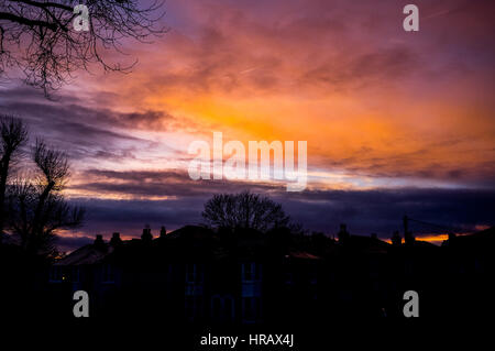 Wimbledon, London, UK. 28. Februar 2017. Bäume sind Silhouette gegen einen dramatischen bunten Winter Sonnenuntergang in Wimbledon an einem kalten Abend Credit: Amer Ghazzal/Alamy Live-Nachrichten Stockfoto