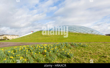 Carmarthen, Wales, UK. 28. Februar 2017. Narzissen sind in voller Blüte an der National Botanical Gardens of Wales in Llartheney, Carmarthenshire. Die Narzisse ist die nationale Blume von Wales und ist das Symbol für St. Davids-Tag, der am 1. März ist. Bildnachweis: Philip Jones/Alamy Live-Nachrichten Stockfoto