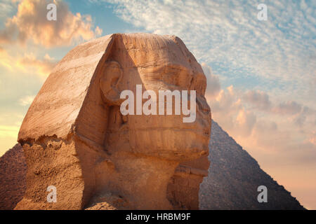 Wächter-Sphinx bewacht die Gräber der Pharaonen in Gizeh. Kairo, Ägypten Stockfoto