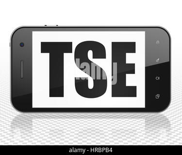 Stock Market Indizes Konzept: Smartphone mit TSE auf dem Display Stockfoto