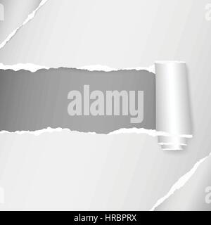 Walz- und zerrissene weiße Arbeitsmappenblatt, zerrissenes Papier in Ecken Stock Vektor