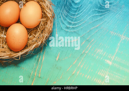 Ostereier in einem Nest auf einem zweifarbigen getönten Hintergrund. Viel Platz für Text. Stockfoto