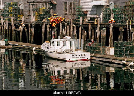 Hummer-Boot am Pier Fisch, Portland, Maine. Stockfoto