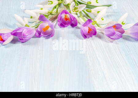 Rahmen der Krokusse und Schneeglöckchen auf dem Tisch mit Platz für Text. Ansicht von oben flach legen Stockfoto