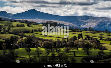 Ein Panoramablick über Pen y Fan und den zentralen Bereich der Brecon Beacons. Brecon-Beacons-Nationalpark, Wales, UK Stockfoto