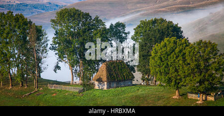 Schaf-Farm in den Bergen an nebligen Frühlingsmorgen - Apuseni-Gebirge, Transsilvanien Stockfoto