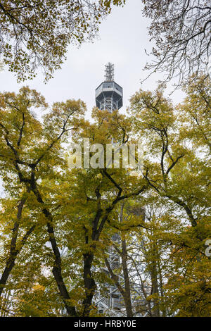 Herbst geht an einem trüben Tag, Petrin und Kinsky Parks, Prag, Tschechien, Zentraleuropa Stockfoto