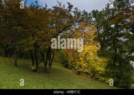 Herbst geht an einem trüben Tag, Petrin und Kinsky Parks, Prag, Tschechien, Zentraleuropa Stockfoto