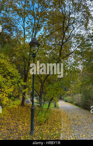 Herbst geht an einem trüben Tag, Petrin und Kinsky Parks, Prag, Tschechien, Zentraleuropa Stockfoto