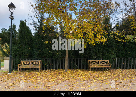 Herbst geht an einem trüben Tag, Petrin und Kinsky Parks, Prag, Tschechien, Zentraleuropa Stockfoto