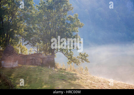 Schaf-Farm in den Bergen an nebligen Frühlingsmorgen - Apuseni-Gebirge, Transsilvanien Stockfoto