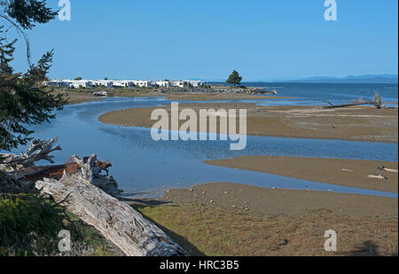 Natual Wald Schmutz wusch Downstream bei Flut bedingungen Wurf die meisten Engländer Fluss im Surfside an Perksville, in BC Vancouver Island. Stockfoto