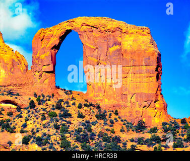 Royal oder Gregg Arch, Navajo Wildlands, Arizona Luckachukai Berge Stockfoto