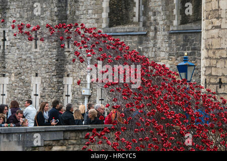 Ein Wasserfall des Mohns. "Blut fegte Länder und Meere rot". Nahaufnahme der 888.246 Keramik Mohn anlässlich der Hundertjahrfeier des Ausbruchs des ersten Stockfoto