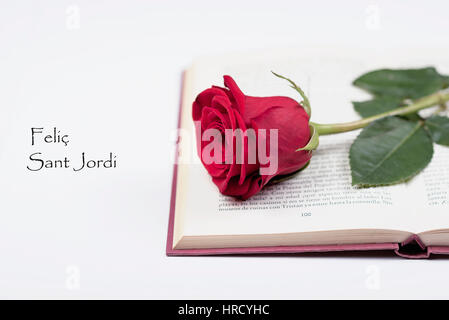 Neben einem Buch Rose Sant Jordi-Tag Stockfoto