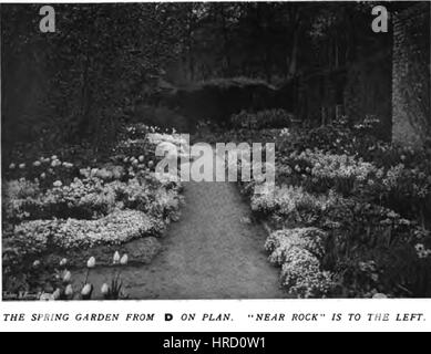 Farbe in die Blume Garden22 Stockfoto