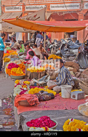 Händler verkaufen Blumengirlanden und Blütenblätter für Sonnenanbeter in einem nahe gelegenen Hindu Tempel in Tripolia Basar Bezirk von Jaipur in Rajasthan, Indien Stockfoto