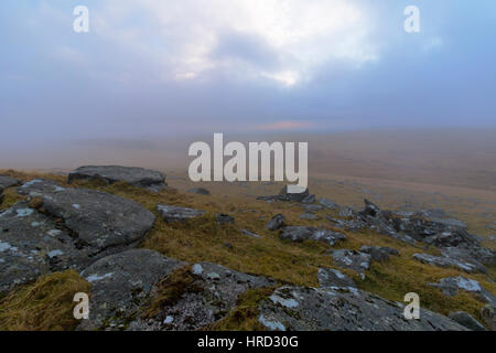 Nebligen Morgen an den Hängen des regnerisch Tor auf Bodmin Moor Stockfoto