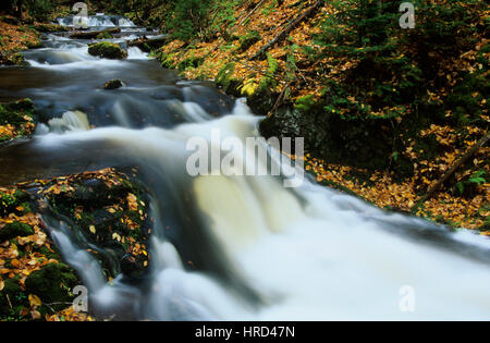 Dickson Creek im Herbst, Fundy National Park, New Brunswick, Kanada Stockfoto