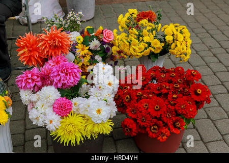 Blumen sind in der Nähe von einem Blumenladen auf einer Stadtstraße. Stockfoto
