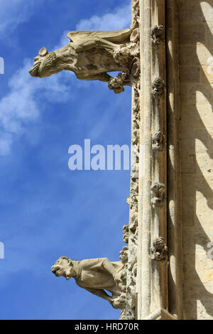 Félin à Ailes de chauve-souris. Gargouille. Cathédrale Notre-Dame d'Amiens. Notre-Dame d'Amiens Kathedrale. Stockfoto