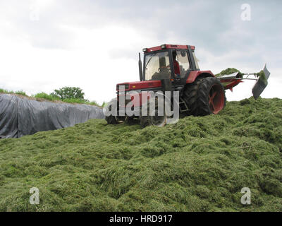 Rasen (Heu) geschnitten und konserviert unter Kunststoff Stockfoto