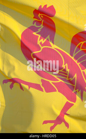 20110301 ARLON, BELGIEN. eine wallonische Flagge ist vor Arlon Stadthaus abgebildet. Arlon ist eine Kleinstadt im Rahmen von Luxemburg, wo ein großer Teil der Stockfoto