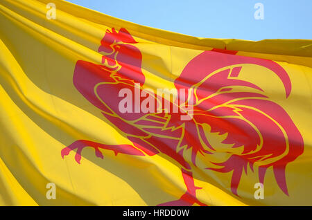 20110301 ARLON, BELGIEN. eine wallonische Flagge ist vor Arlon Stadthaus abgebildet. Arlon ist eine Kleinstadt im Rahmen von Luxemburg, wo ein großer Teil der Stockfoto