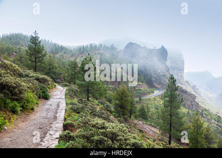 Wanderweg zum Roque Nublo im Nebel. Gran Canaria, Kanarische Inseln, Spanien. Stockfoto