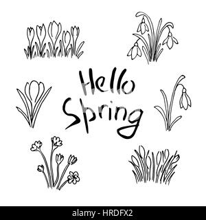 Hallo Frühling Skizze festgelegt. Blumen und Schriftzug. Süße lila Blumen, Schneeglöckchen, Krokusse, Tulpen, Skizze. Hand gezeichnet. Pinsel-Stift. Für Plakatwerbung, Stock Vektor