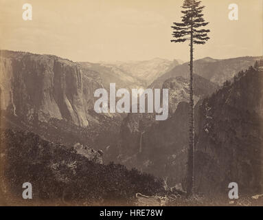 Carleton Watkins (American - Yosemite Valley aus den besten Überblick - Google Art Project Stockfoto