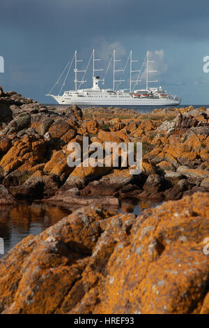 Club Med 2, Ankern eine Segelschiff mit 5 Masten aus der kleinen Stadt Svaneke auf der Ostsee Insel Bornholm, Dänemark Stockfoto