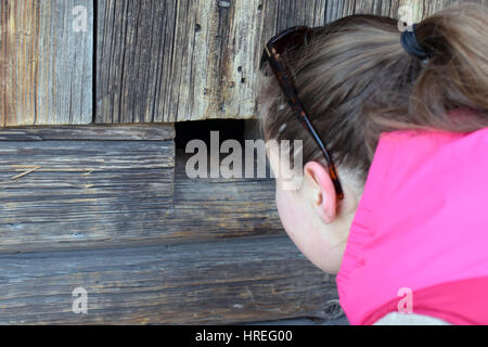 Neugierige Frau, die durch Loch im alten Blockwand. Stockfoto