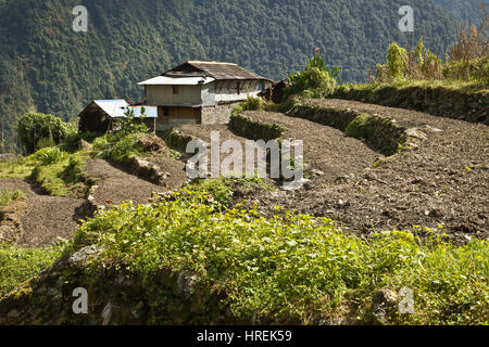 Bauernhof im Himalaya, Nepal Stockfoto