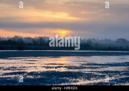 Sonnenaufgang an einem frostigen Wintern nebligen Morgen in der Landschaft Oxfordshire. Könige Sutton, Oxfordshire / Grenze Northamptonshire, UK Stockfoto