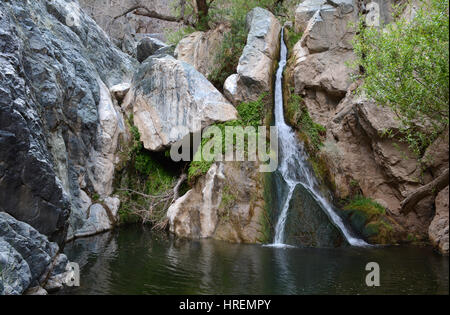 Eine horizontale Aufnahme von Darwin Falls, einem kleinen aber schönen Quellwasser gespeisten Wasserfall zwischen Felsen und üppige Vegetation. Stockfoto