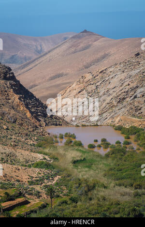 Landschaft auf der Insel Fuerteventura Stockfoto