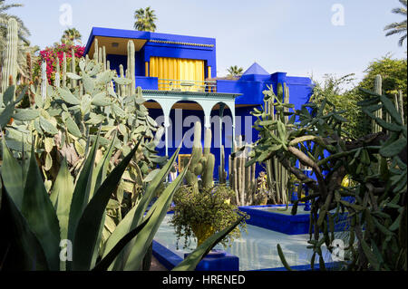 Die schönen und bunten Gärten von Jardin Majorelle in Marrakesch (Marrakech), Marokko Stockfoto