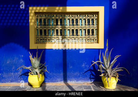 Die schönen und bunten Gärten von Jardin Majorelle in Marrakesch (Marrakech), Marokko Stockfoto