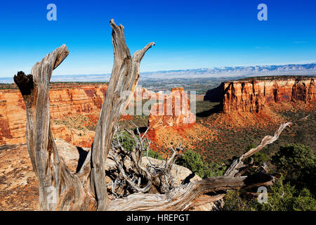 Colorado Nationalmonument, Grand Junction, Colorado Stockfoto